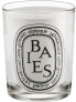 Фото #1 товара Duftkerze im Glas Baies - Diptyque Baies Candle 70 g