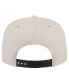 ფოტო #1 პროდუქტის Men's Stone Philadelphia Eagles Premier 9FIFTY Snapback Hat