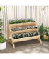 Фото #4 товара 3-Tier Garden Bed with Storage Shelf 2 Hanging Hooks and 3 Bed Liners