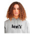 Levi´s ® T2 Relaxed Graphic hoodie