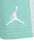 ფოტო #21 პროდუქტის Little Boys Jumpman Blocked Taping Tee and Shorts Set