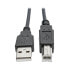 Фото #1 товара Tripp U022-010-COIL USB 2.0 A to B Coiled Cable (M/M) - 10 ft. (3.05 m) - 3.1 m - USB A - USB B - USB 2.0 - Male/Male - Black