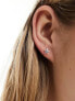 Фото #7 товара Kingsley Ryan sterling silver 6mm crystal star stud earrings in silver