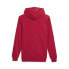 Фото #2 товара Puma Framed Up Pullover Hoodie Mens Red Casual Outerwear 67807311