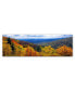 Фото #1 товара Doug Cavanah 'Autumn Forest' Canvas Art - 19" x 6" x 2"