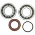 HOTRODS KTM 2005-2010 250 SX-F Crank Shaft Bearing&Seal Kit