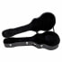 Thomann Jumbo Acoustic Bass Case