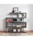 Raceloma Writing Desk with Shelf, Clear Glass, & Chrome Finish