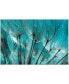 Фото #1 товара Dandelion Frameless Free Floating Tempered Art Glass Wall Art by EAD Art Coop, 32" x 48" x 0.2"