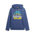 Фото #3 товара SUPERDRY Great Outdoors Graphic hoodie