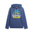 SUPERDRY Great Outdoors Graphic hoodie