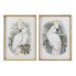 Фото #1 товара Картина DKD Home Decor 50 x 2,8 x 70 cm Колониальный Попугай (2 штук)
