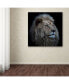 Фото #3 товара Louise Wolbers 'Proud Lion' Canvas Art - 24" x 24" x 2"