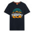 Фото #1 товара SUPERDRY Great Outdoors Nr Graphic short sleeve T-shirt