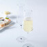 Фото #4 товара Бокал для шампанского с гравировкой Puccini Gastro-Edition Леонардо