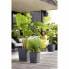 Фото #3 товара Горшок для цветов с автополивом Elho Greensense Aqua Care Ø 38 x 38,9 см Темно-серый Квадратный