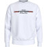 Фото #1 товара TOMMY HILFIGER MW0MW35530 sweatshirt