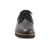 Фото #3 товара Softwalk Willis S1811-006 Womens Black Narrow Leather Oxford Flats Shoes 6