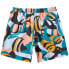 QUIKSILVER Every Mix 16´´ Swimming Shorts