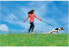 Фото #5 товара Шлейка для собак Zolux Szelki безопасности средняя