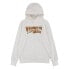 LEVI´S ® KIDS Graphic Pullover hoodie