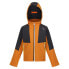 Фото #3 товара Куртка для хайкинга Regatta Haydenbury Softshell XPT - детская, с эластичным материалом, ветро- и влагозащитная