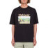 VOLCOM Crossworld Lse short sleeve T-shirt