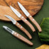 Фото #4 товара Набор ножей для кухни Amefa Forest Wood 4 предмета