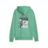 Фото #2 товара Puma Classics Super Graphic Pullover Hoodie Mens Green Casual Outerwear 62130936