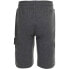 Фото #2 товара ALPINE PRO Nerro shorts