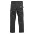 Фото #2 товара ETNIES Independent Pants