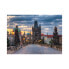 Фото #1 товара Puzzle Prag 1000 Teile