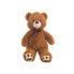 Фото #1 товара CREACIONES LLOPIS Willy 40 cm Bear Teddy