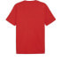 ფოტო #2 პროდუქტის PUMA Graphics Summer Sport short sleeve T-shirt