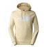 Фото #1 товара The North Face Drew Peak Pullover Hoodie