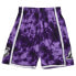 Mens Mitchell & Ness NBA GALAXY SWINGMAN SHORTS - LA LAKERS 2009