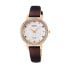 Фото #1 товара Seiko Essentials Eco-Drive Crystal Mother of Pearl Dial Ladies Watch SUP450P1