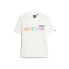 SUPERDRY Rainbow Logo Relaxed short sleeve T-shirt