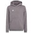 Фото #1 товара ADIDAS Entrada 22 hoodie