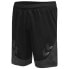 Фото #3 товара HUMMEL Lead Poly Shorts