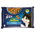 ფოტო #2 პროდუქტის PURINA NESTLE Felix Sensations Mix Salmon Shrimps Fish With Tomatoes 85g Wet Cat Food 4 Units