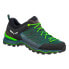 Фото #1 товара SALEWA MTN Trainer Lite Goretex Hiking Shoes