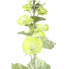 Фото #2 товара Künstliche Blume Hollyhock