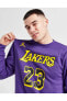 Фото #2 товара Los Angeles Lakers Erkek Mor Basketbol Sweatshirt DN4718-508
