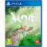 Фото #2 товара PLAYSTATION GAMES PS4 Hoa