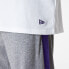 ფოტო #3 პროდუქტის NEW ERA NBA Colour Block OS Los Angeles Lakers short sleeve T-shirt