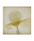 Фото #1 товара Judy Stalus Parchment Flowers IX Canvas Art - 15" x 20"