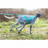 Фото #6 товара I-DOG Canicross Opale Small Dog Leash