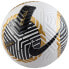 Фото #1 товара Nike Futsal Soccer Ball FB2894-103