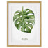 Фото #1 товара Bild Aquarell Botanik Monstera IV